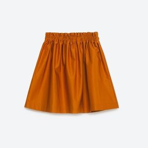 NWOT Zara Skirt